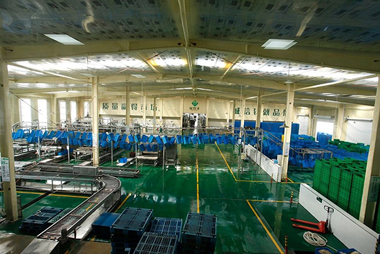 1559204341418703.jpg 4-3.jpg