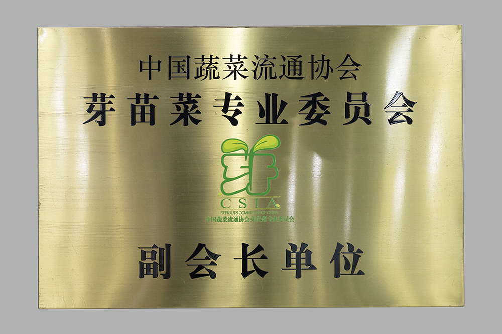 中國(guó)蔬菜流通協(xié)會(huì) 芽苗菜專(zhuān)業(yè)委員會(huì) 副會(huì)長(zhǎng)單位