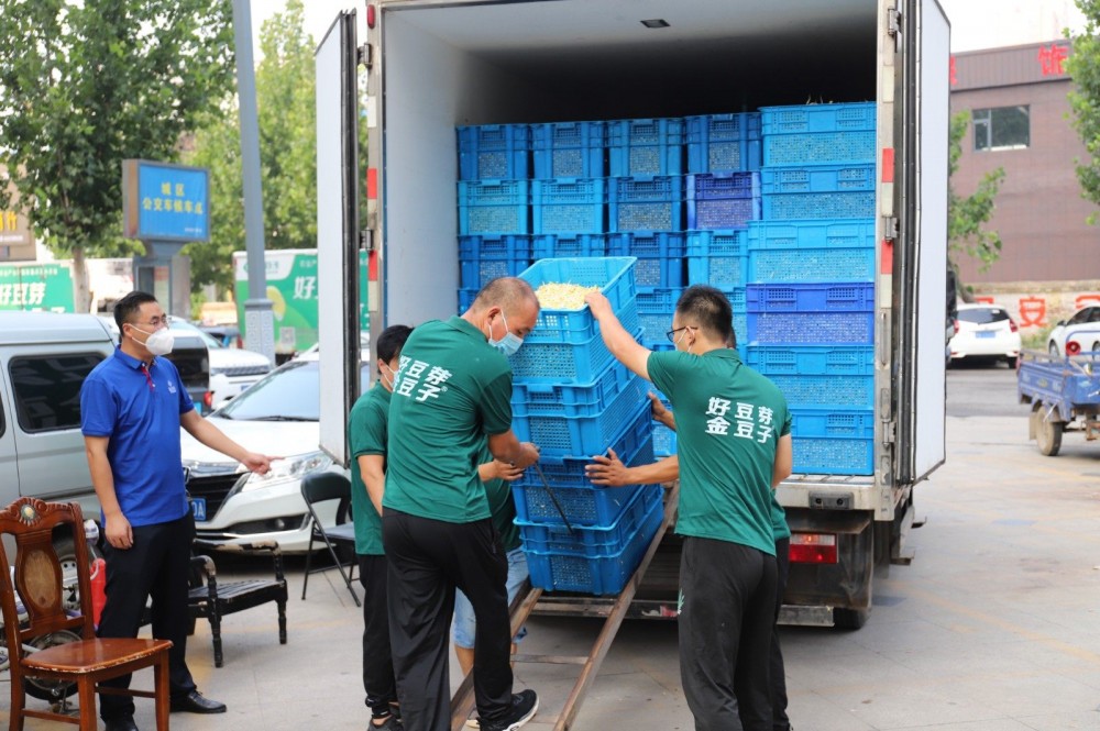 抗擊疫情 愛心企業(yè)捐贈50萬斤芽苗菜