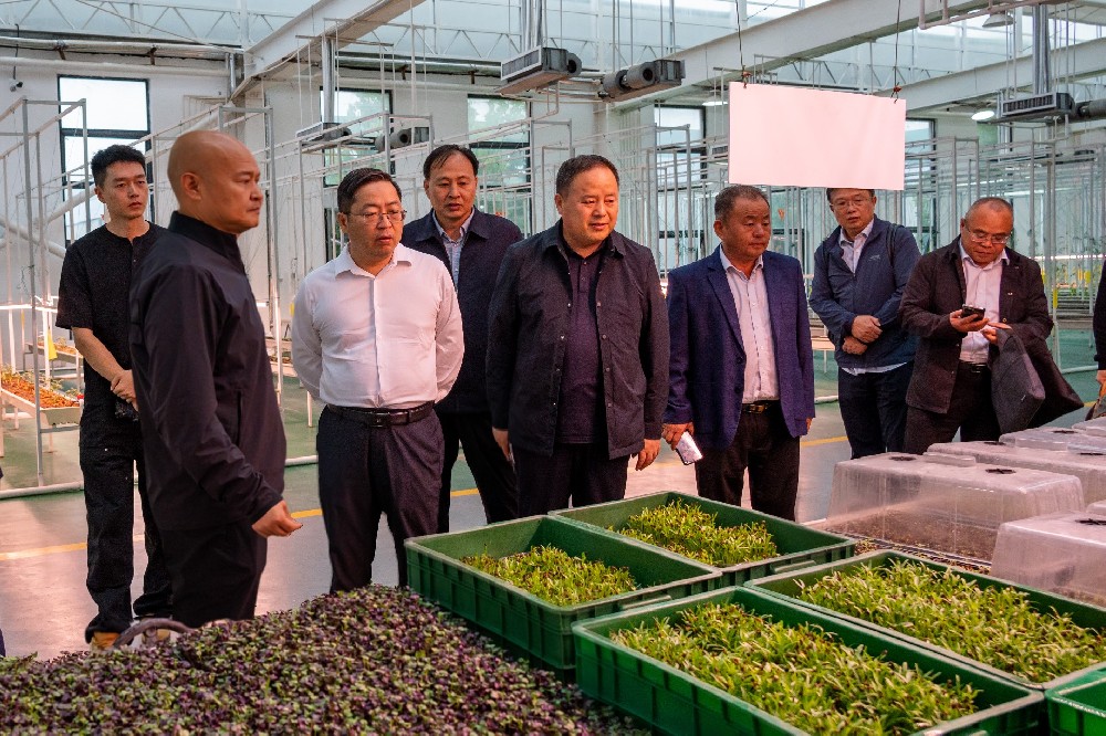 國(guó)家大豆產(chǎn)業(yè)專家團(tuán)赴金豆子集團(tuán)考察調(diào)研，共同探討大豆產(chǎn)業(yè)鏈發(fā)展